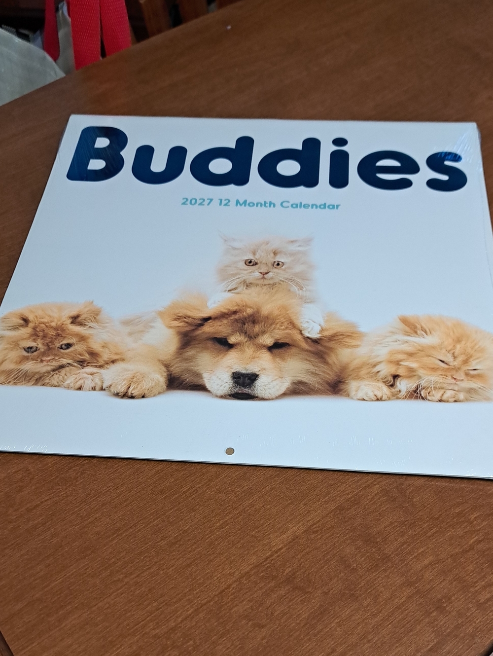 2027 Calendar Buddies